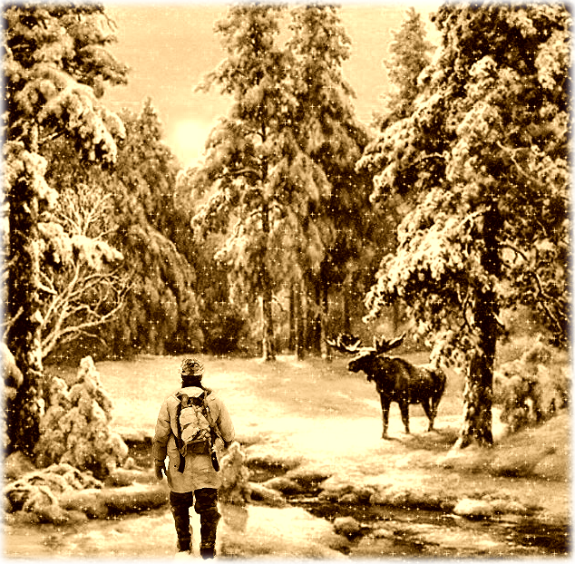 Дорога через зимний лес